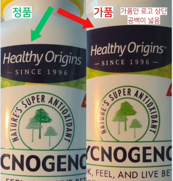 헬시오리진 로고 위치